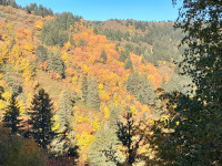 Couleurs d'Automne